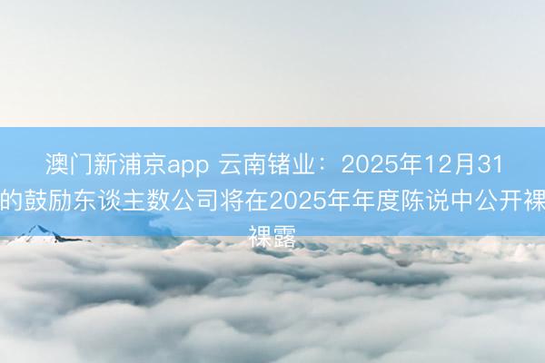 澳门新浦京app 云南锗业:2025年12月31日的鼓励东谈主数公司将在2025年年度陈说中公开裸露