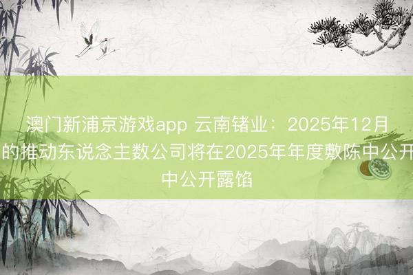 澳门新浦京游戏app 云南锗业：2025年12月31日的推动东说念主数公司将在2025年年度敷陈中公开露馅
