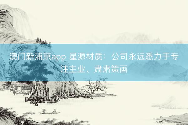 澳门新浦京app 星源材质:公司永远悉力于专注主业、肃肃策画