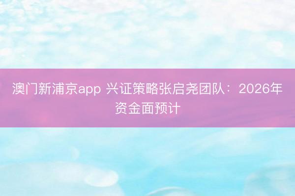 澳门新浦京app 兴证策略张启尧团队：2026年资金面预计