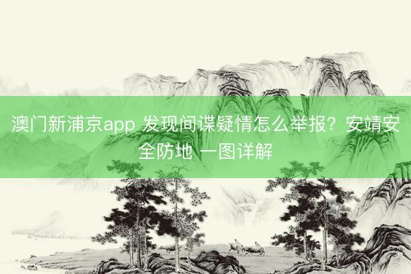 澳门新浦京app 发现间谍疑情怎么举报？安靖安全防地 一图详解