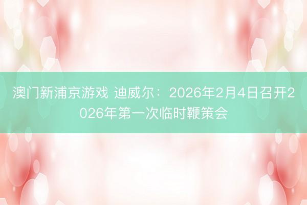 澳门新浦京游戏 迪威尔：2026年2月4日召开2026年第一次临时鞭策会