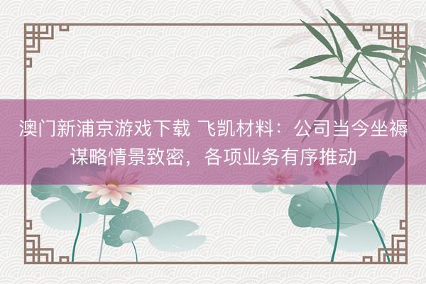 澳门新浦京游戏下载 飞凯材料：公司当今坐褥谋略情景致密，各项业务有序推动