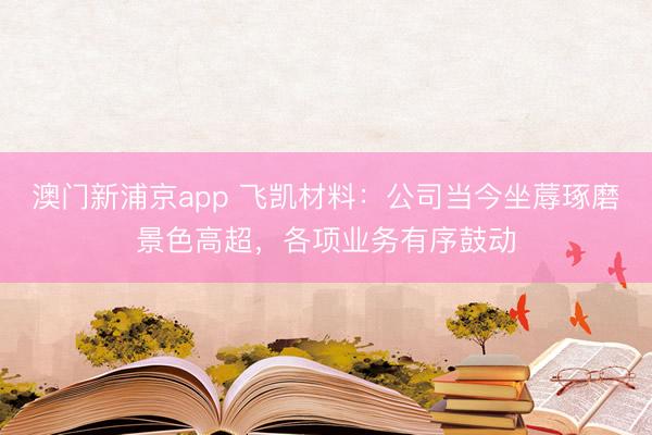 澳门新浦京app 飞凯材料：公司当今坐蓐琢磨景色高超，各项业务有序鼓动