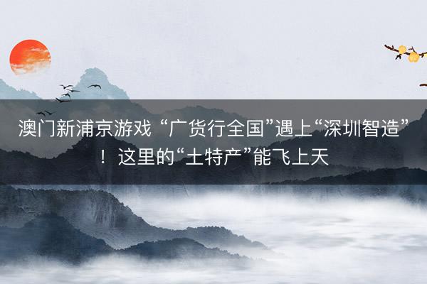 澳门新浦京游戏 “广货行全国”遇上“深圳智造”！这里的“土特产”能飞上天