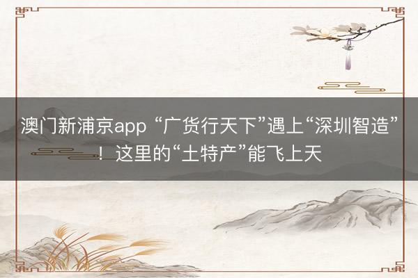 澳门新浦京app “广货行天下”遇上“深圳智造”！这里的“土特产”能飞上天