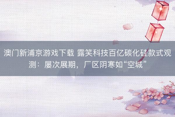 澳门新浦京游戏下载 露笑科技百亿碳化硅款式观测:屡次展期,厂区阴寒如“空城”