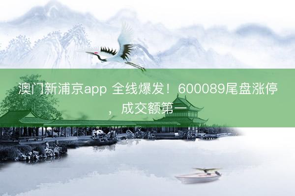 澳门新浦京app 全线爆发！600089尾盘涨停，成交额第一