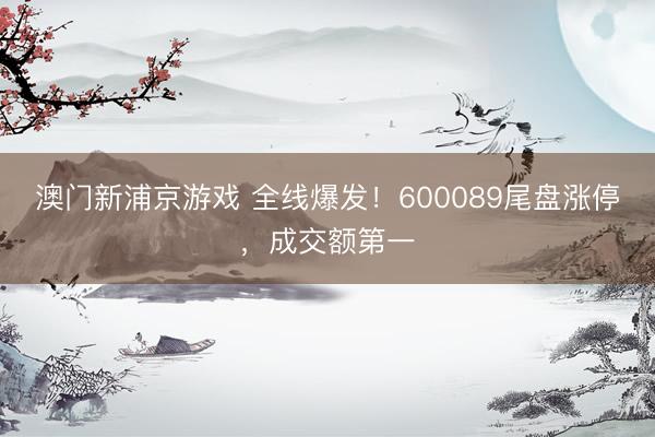 澳门新浦京游戏 全线爆发！600089尾盘涨停，成交额第一