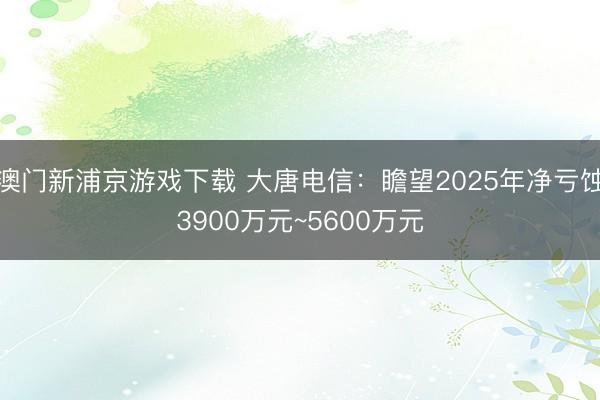 澳门新浦京游戏下载 大唐电信:瞻望2025年净亏蚀3900万元~5600万元