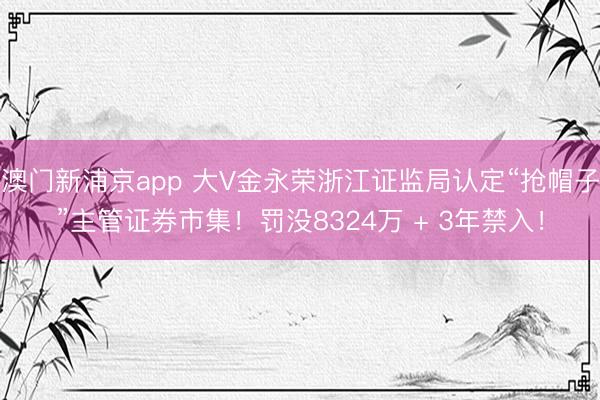 澳门新浦京app 大V金永荣浙江证监局认定“抢帽子”主管证券市集！罚没8324万 + 3年禁入！