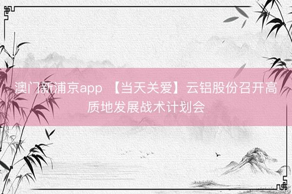 澳门新浦京app 【当天关爱】云铝股份召开高质地发展战术计划会