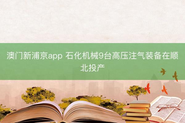 澳门新浦京app 石化机械9台高压注气装备在顺北投产