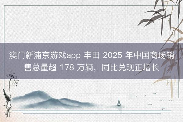 澳门新浦京游戏app 丰田 2025 年中国商场销售总量超 178 万辆,同比兑现正增长