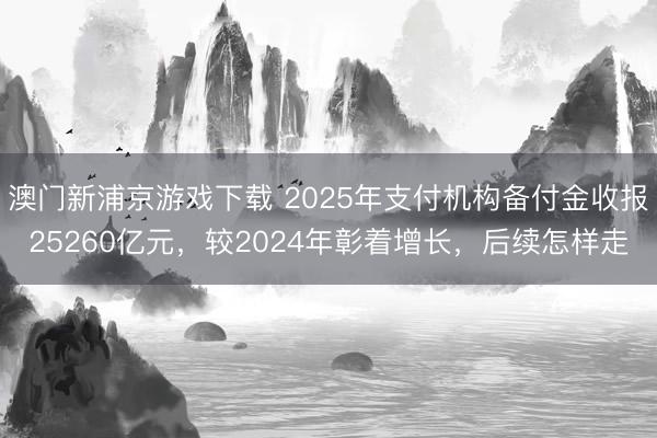 澳门新浦京游戏下载 2025年支付机构备付金收报25260亿元，较2024年彰着增长，后续怎样走