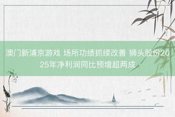 澳门新浦京游戏 场所功绩抓续改善 狮头股份2025年净利润同比预增超两成