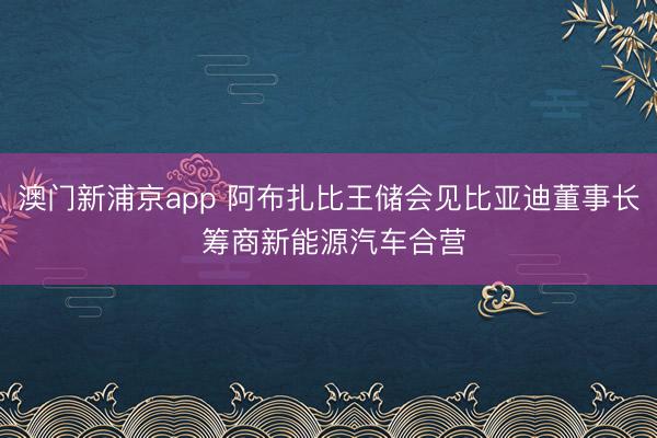 澳门新浦京app 阿布扎比王储会见比亚迪董事长 筹商新能源汽车合营