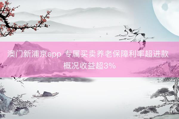 澳门新浦京app 专属买卖养老保障利率超进款 概况收益超3%