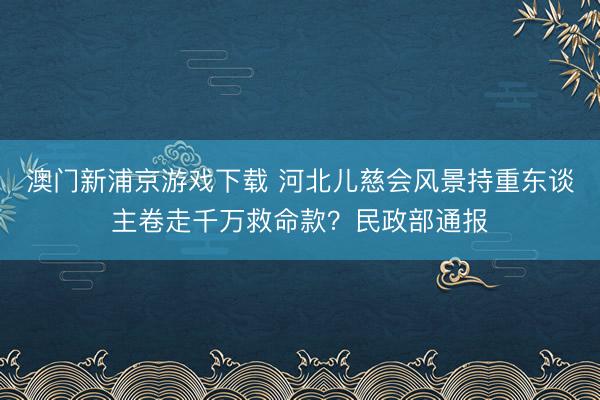 澳门新浦京游戏下载 河北儿慈会风景持重东谈主卷走千万救命款?民政部通报