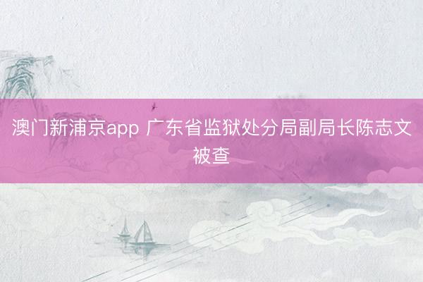 澳门新浦京app 广东省监狱处分局副局长陈志文被查