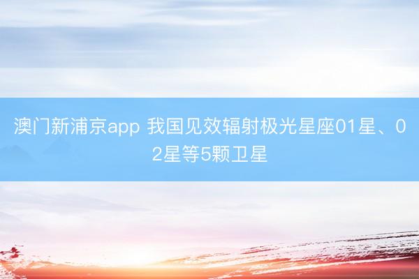 澳门新浦京app 我国见效辐射极光星座01星、02星等5颗卫星