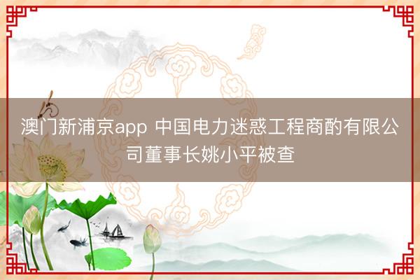澳门新浦京app 中国电力迷惑工程商酌有限公司董事长姚小平被查