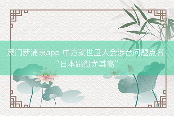 澳门新浦京app 中方就世卫大会涉台问题点名：“日本跳得尤其高”
