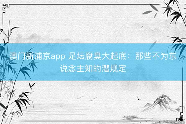 澳门新浦京app 足坛腐臭大起底：那些不为东说念主知的潜规定