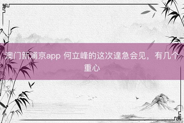 澳门新浦京app 何立峰的这次遑急会见，有几个重心