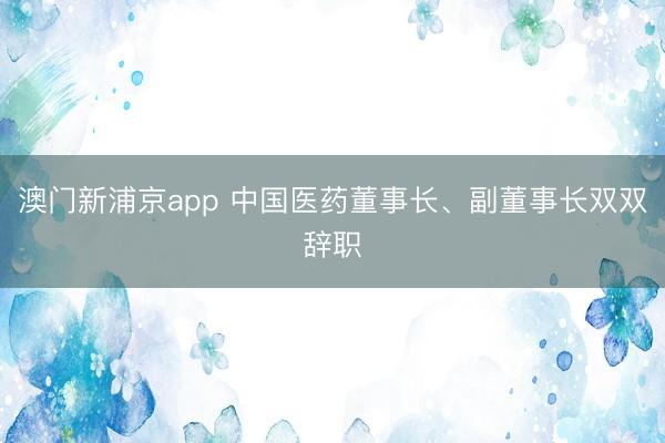 澳门新浦京app 中国医药董事长、副董事长双双辞职