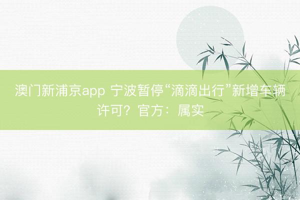 澳门新浦京app 宁波暂停“滴滴出行”新增车辆许可？官方：属实
