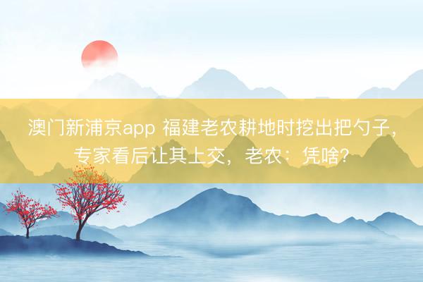 澳门新浦京app 福建老农耕地时挖出把勺子,专家看后让其上交,老农:凭啥?
