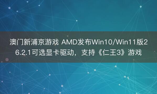 澳门新浦京游戏 AMD发布Win10/Win11版26.2.1可选显卡驱动，支持《仁王3》游戏