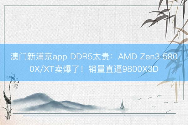 澳门新浦京app DDR5太贵:AMD Zen3 5800X/XT卖爆了!销量直逼9800X3D