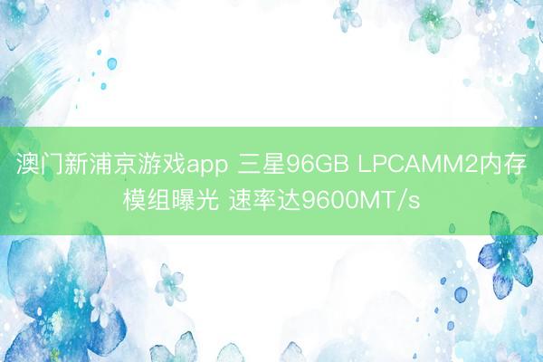 澳门新浦京游戏app 三星96GB LPCAMM2内存模组曝光 速率达9600MT/s