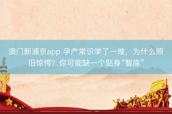 澳门新浦京app 孕产常识学了一堆,为什么照旧惊愕?你可能缺一个贴身“智库”