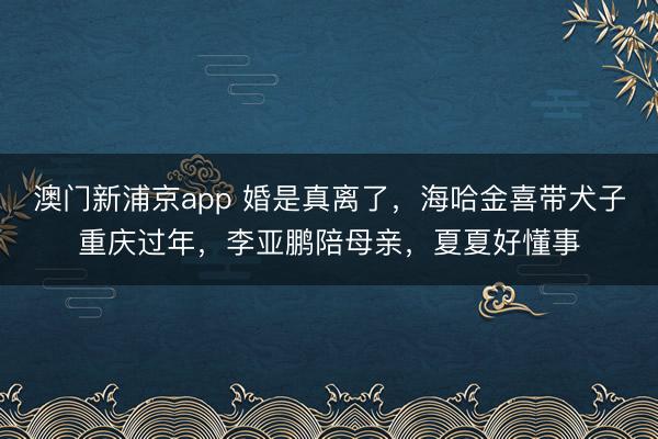澳门新浦京app 婚是真离了，海哈金喜带犬子重庆过年，李亚鹏陪母亲，夏夏好懂事