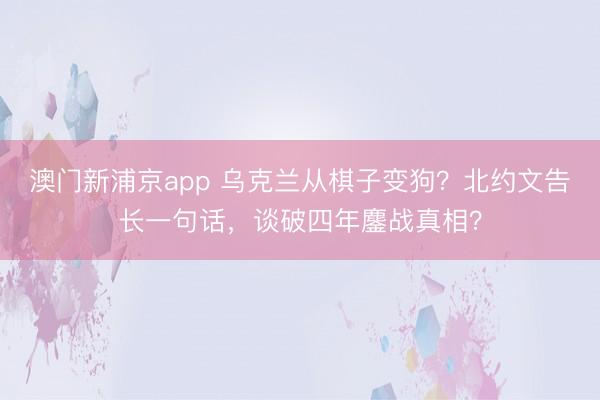 澳门新浦京app 乌克兰从棋子变狗？北约文告长一句话，谈破四年鏖战真相？