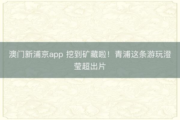 澳门新浦京app 挖到矿藏啦！青浦这条游玩澄莹超出片