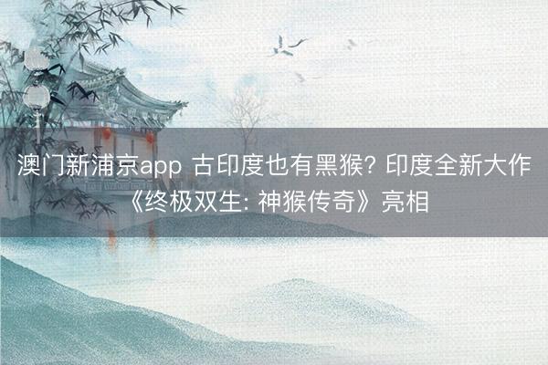 澳门新浦京app 古印度也有黑猴? 印度全新大作《终极双生: 神猴传奇》亮相