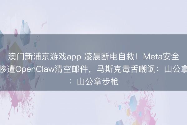 澳门新浦京游戏app 凌晨断电自救!Meta安全高管惨遭OpenClaw清空邮件,马斯克毒舌嘲讽:山公拿步枪