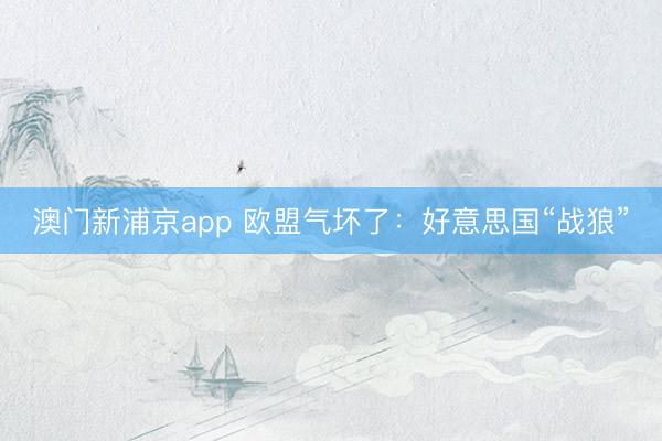 澳门新浦京app 欧盟气坏了：好意思国“战狼”