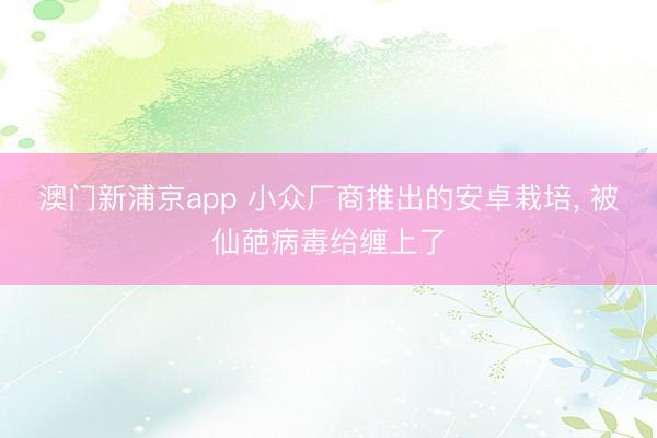澳门新浦京app 小众厂商推出的安卓栽培, 被仙葩病毒给缠上了