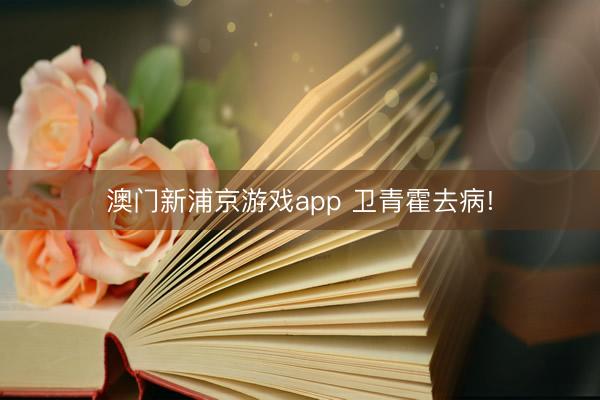 澳门新浦京游戏app 卫青霍去病!