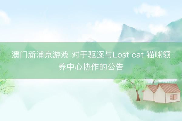 澳门新浦京游戏 对于驱逐与Lost cat 猫咪领养中心协作的公告