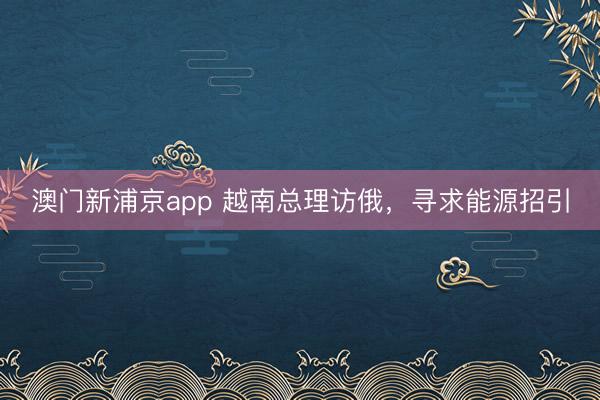 澳门新浦京app 越南总理访俄，寻求能源招引