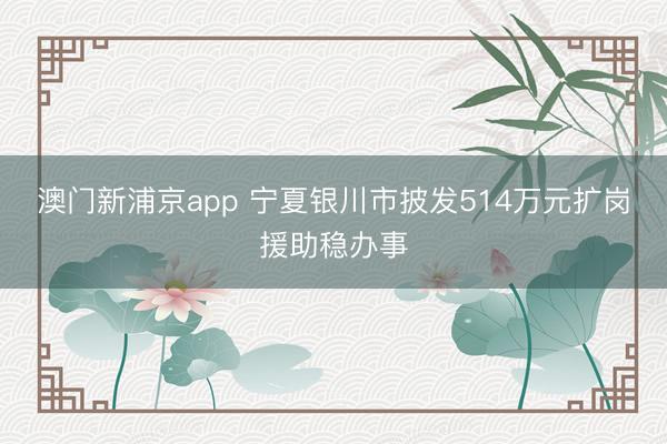 澳门新浦京app 宁夏银川市披发514万元扩岗援助稳办事