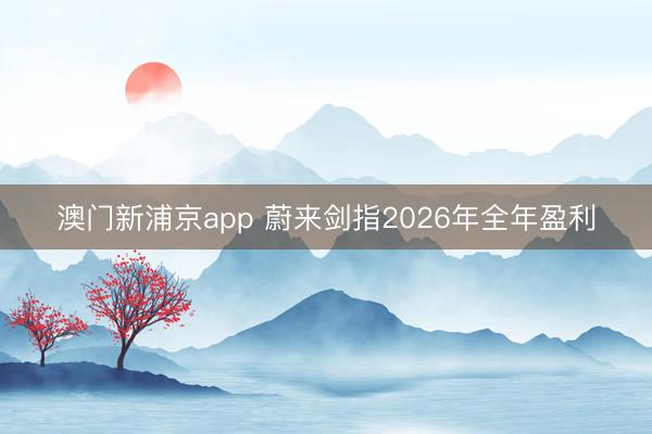 澳门新浦京app 蔚来剑指2026年全年盈利