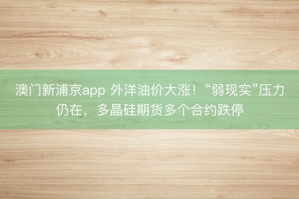 澳门新浦京app 外洋油价大涨!“弱现实”压力仍在,多晶硅期货多个合约跌停