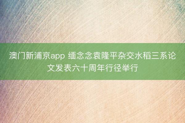 澳门新浦京app 缅念念袁隆平杂交水稻三系论文发表六十周年行径举行
